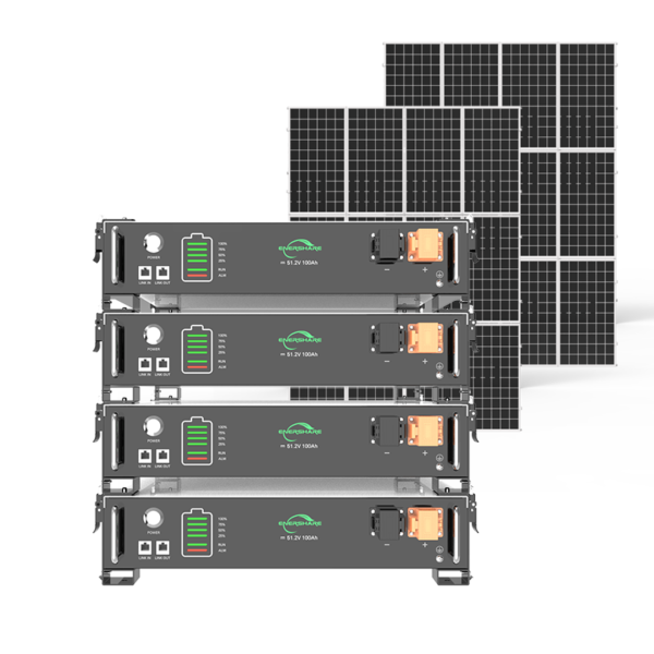 2U Lithium Battery - Image 2